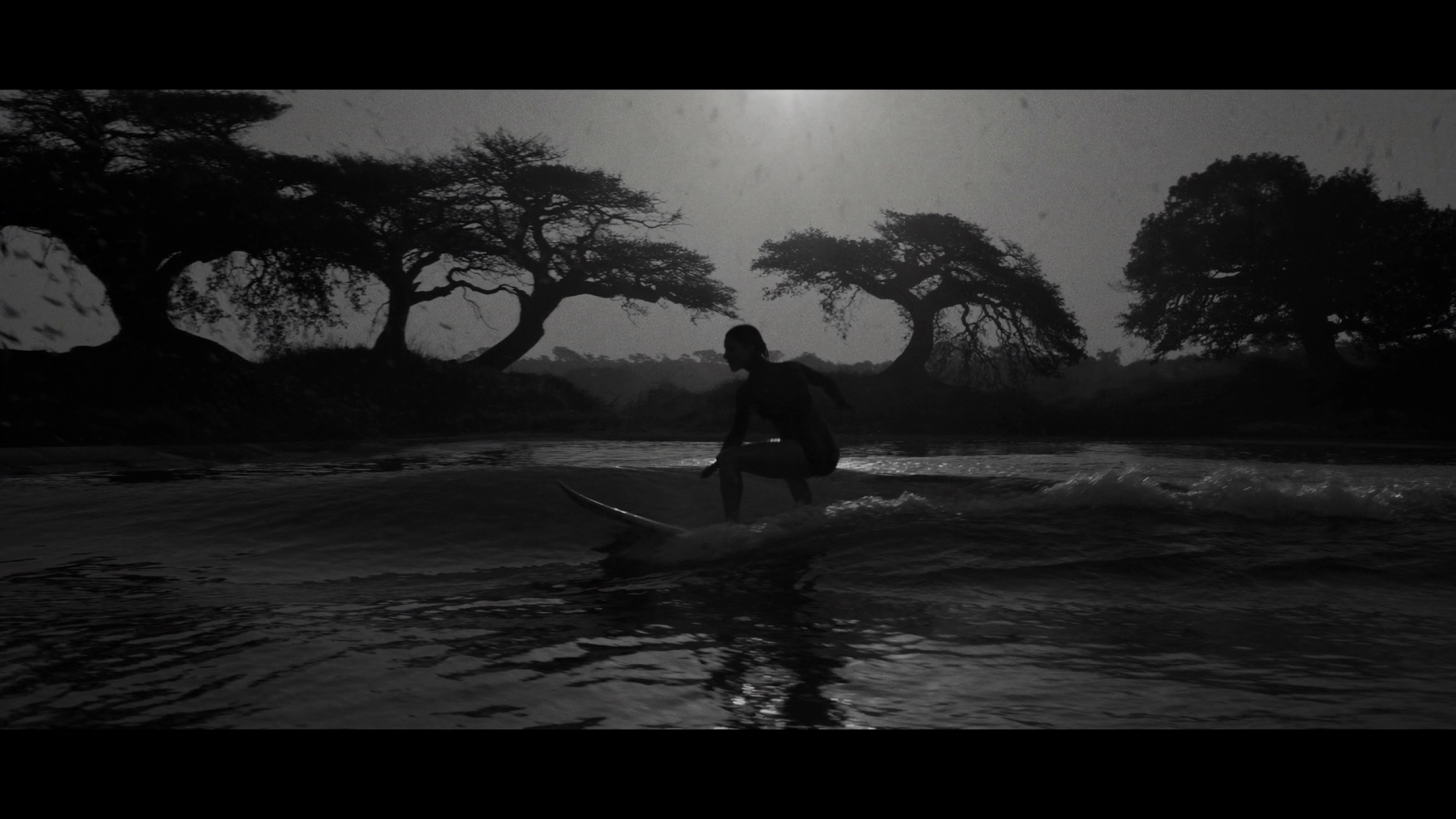 Surf no rio do cerrado · árvores em silhueta